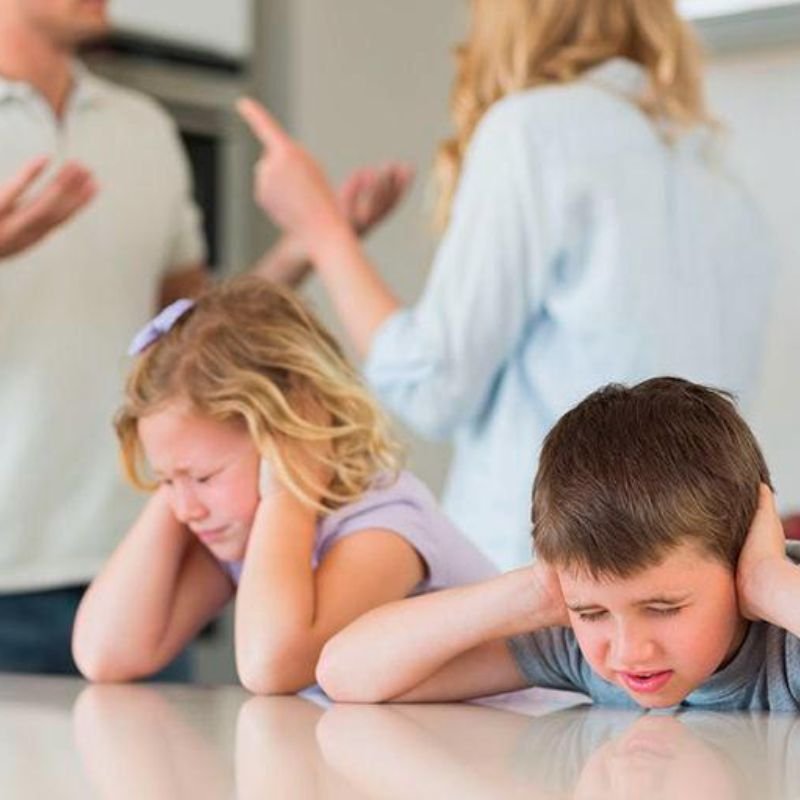 Child Custody Child Custody